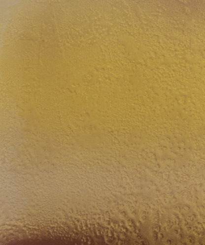 EAL47-P.Caurant_detail