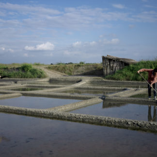 PAK15-16778 - L'Échasse - Meg Boury