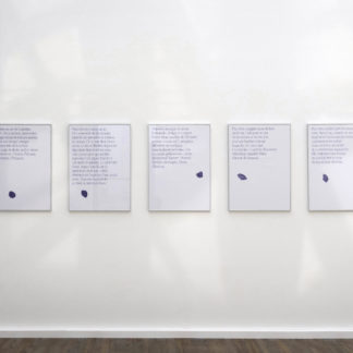 PAJ10-16746-16746 - Sontag’s papers (série)_Une page de carnet horizontale - Carole Douillard