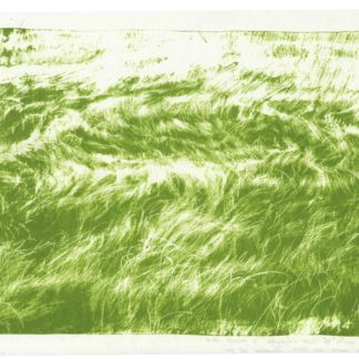 EAE39-16713 - La vie sans fin (vert) - Yuzi Wu 