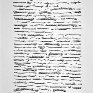 -16953-16953-16953-16953-16953-16953-16953-16953 - Correspondance, d'après Gilles Clément 2 - Guillaume Querre