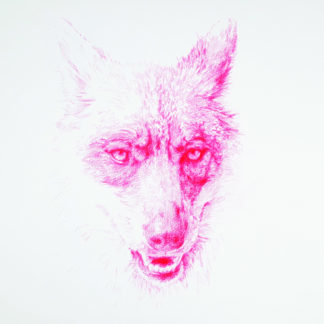 EAO59 - La peur - Sandrine Fallet